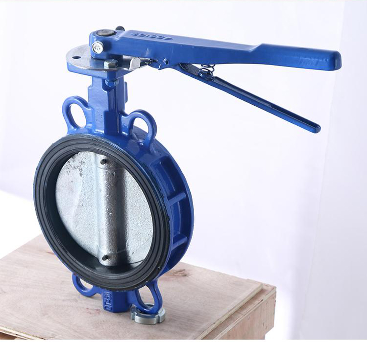 D71X-10手動(dòng)蝶閥實(shí)拍圖1